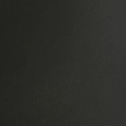 Pro Back Lift Portable Massage Table